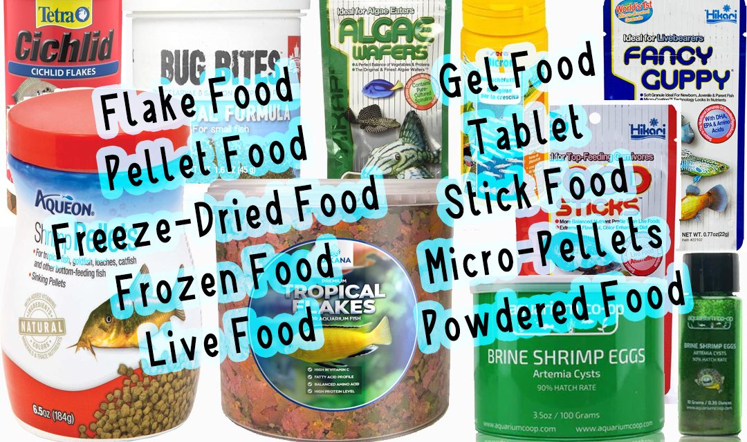 Aquarium Fish Foods