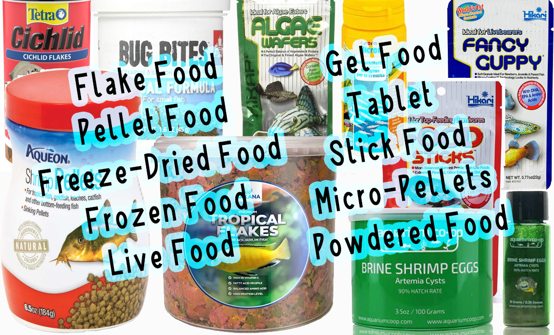 Aquarium Fish Foods